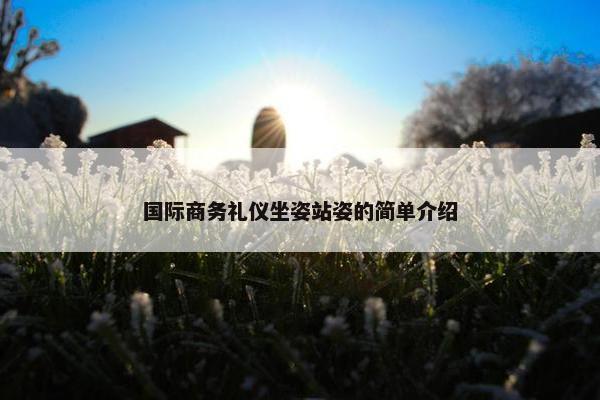 国际商务礼仪坐姿站姿的简单介绍