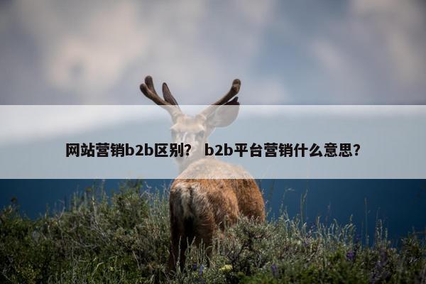 网站营销b2b区别？ b2b平台营销什么意思？