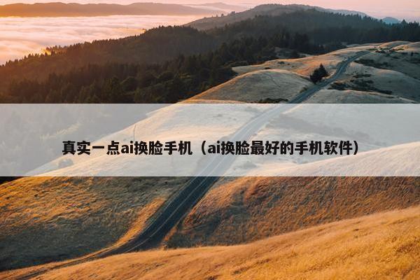真实一点ai换脸手机（ai换脸最好的手机软件）