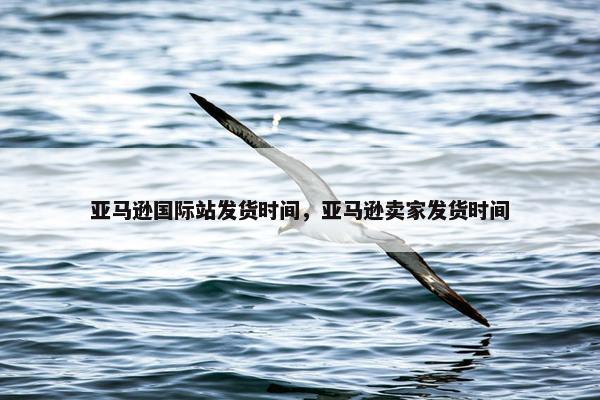 亚马逊国际站发货时间，亚马逊卖家发货时间