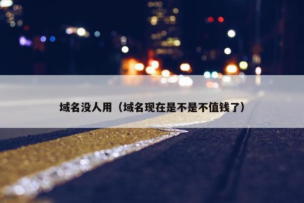 域名没人用（域名现在是不是不值钱了）