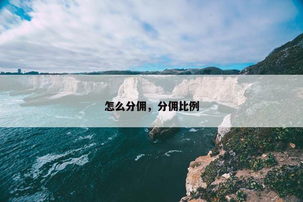 怎么分佣，分佣比例