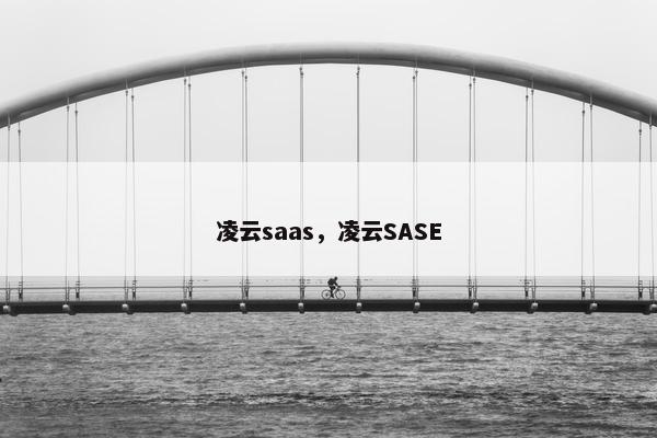 凌云saas，凌云SASE