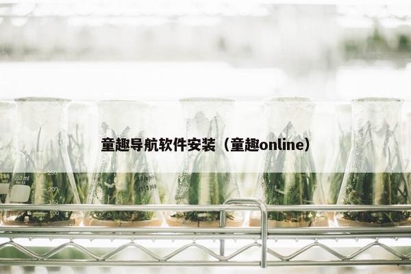 童趣导航软件安装（童趣online）