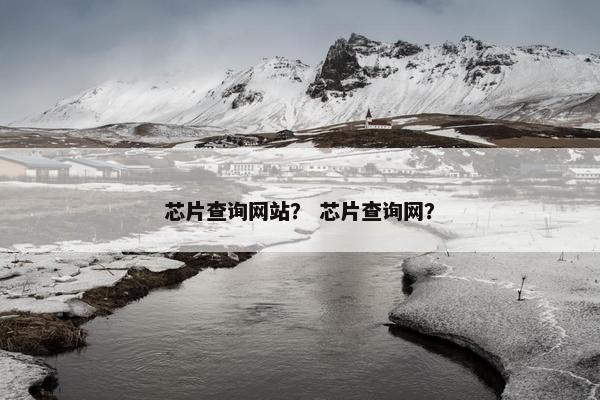 芯片查询网站？ 芯片查询网？