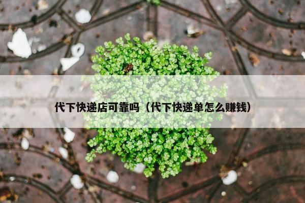 代下快递店可靠吗（代下快递单怎么赚钱）