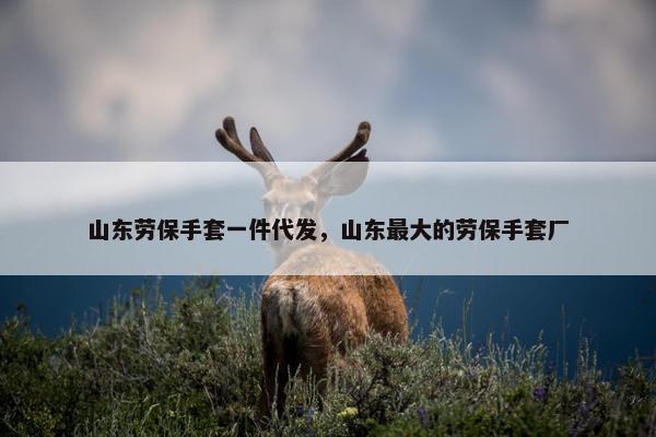 山东劳保手套一件代发，山东最大的劳保手套厂