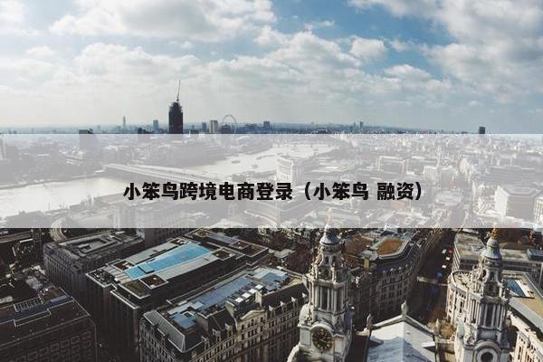 小笨鸟跨境电商登录（小笨鸟 融资）