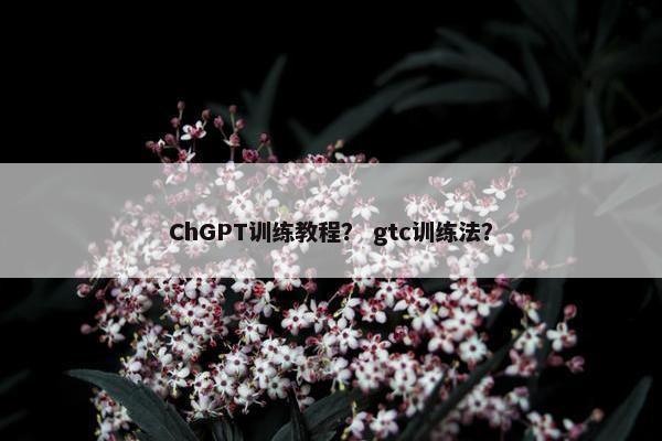 ChGPT训练教程？ gtc训练法？