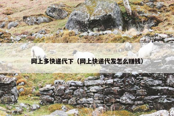 网上多快递代下（网上快递代发怎么赚钱）