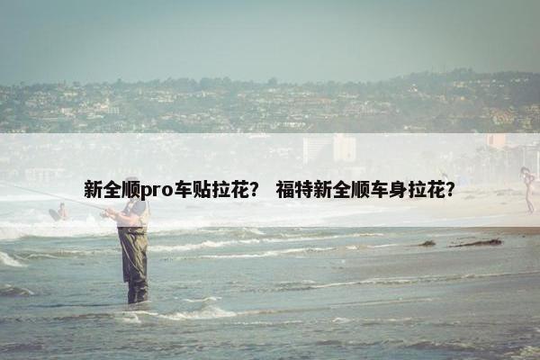 新全顺pro车贴拉花？ 福特新全顺车身拉花？