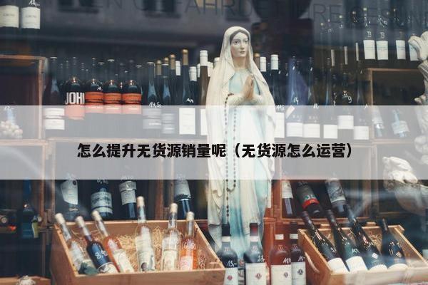怎么提升无货源销量呢（无货源怎么运营）