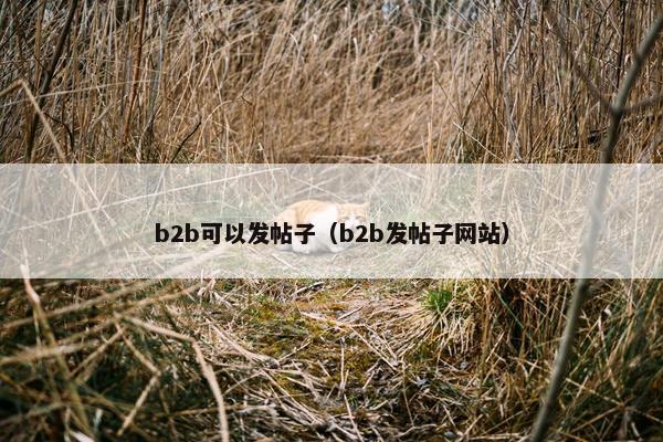 b2b可以发帖子（b2b发帖子网站）