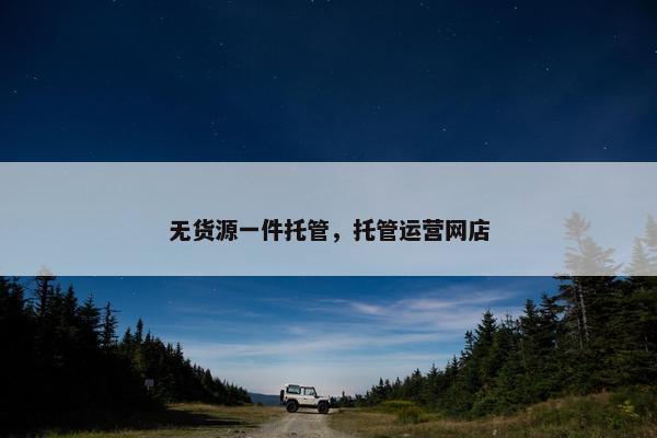 无货源一件托管，托管运营网店