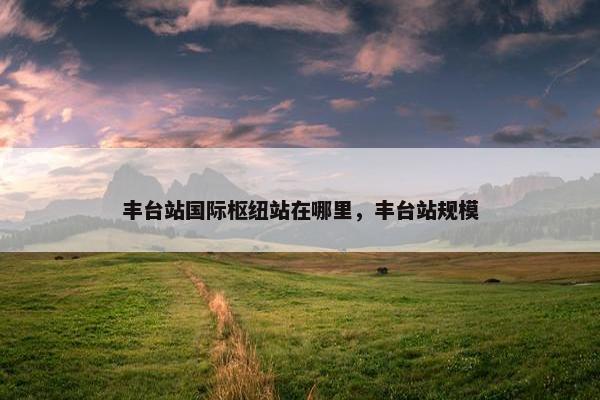 丰台站国际枢纽站在哪里，丰台站规模