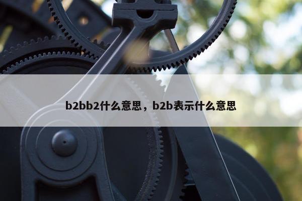 b2bb2什么意思，b2b表示什么意思