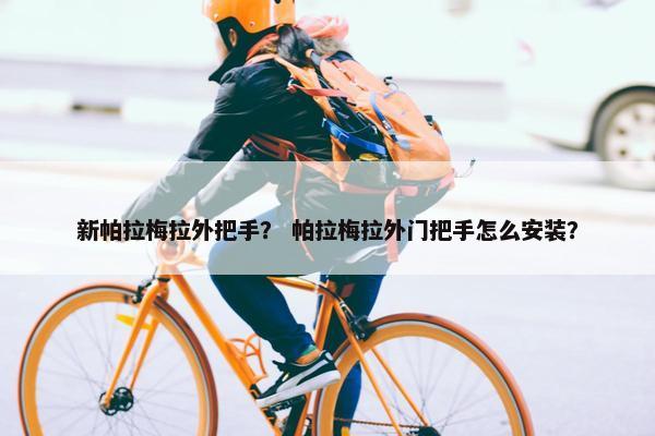 新帕拉梅拉外把手？ 帕拉梅拉外门把手怎么安装？