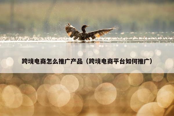 跨境电商怎么推广产品（跨境电商平台如何推广）