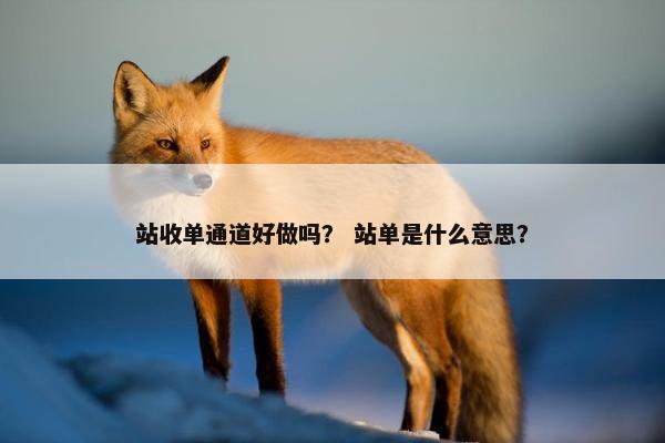 站收单通道好做吗？ 站单是什么意思？