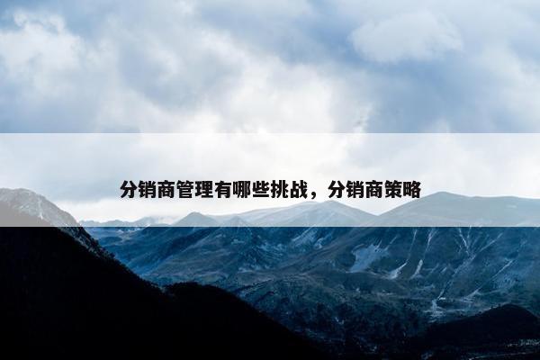 分销商管理有哪些挑战，分销商策略