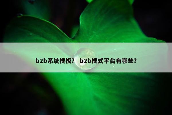 b2b系统模板？ b2b模式平台有哪些？