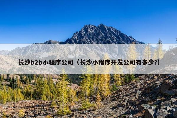 长沙b2b小程序公司（长沙小程序开发公司有多少?）