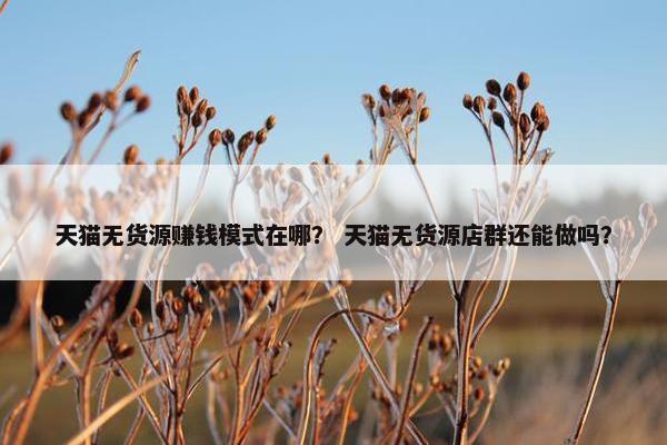 天猫无货源赚钱模式在哪？ 天猫无货源店群还能做吗？