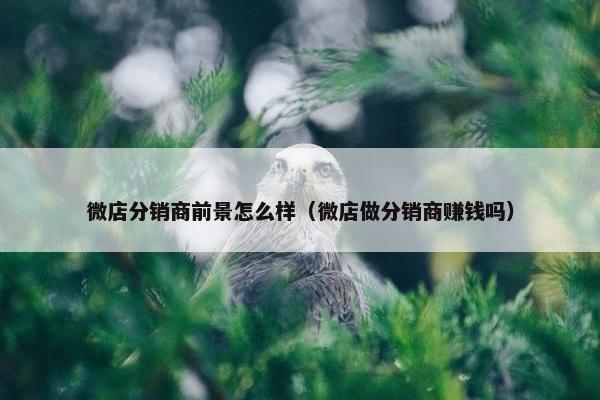 微店分销商前景怎么样（微店做分销商赚钱吗）