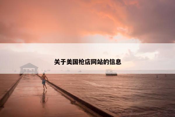 关于美国枪店网站的信息