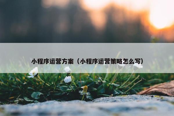 小程序运营方案（小程序运营策略怎么写）
