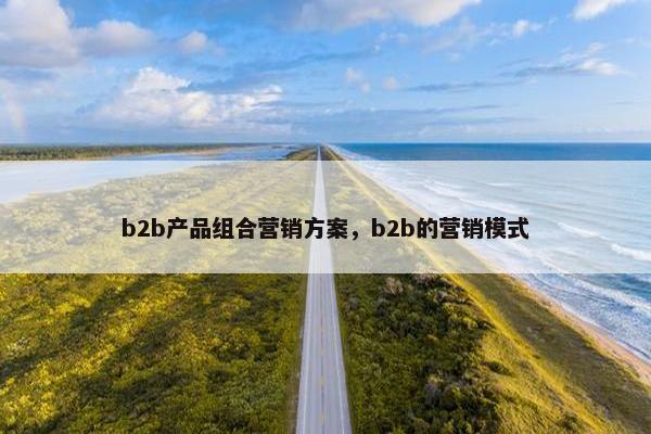 b2b产品组合营销方案，b2b的营销模式