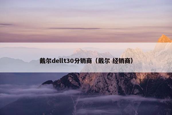 戴尔dellt30分销商（戴尔 经销商）