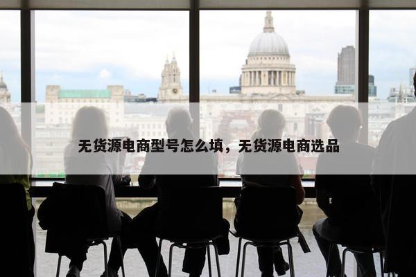 无货源电商型号怎么填，无货源电商选品