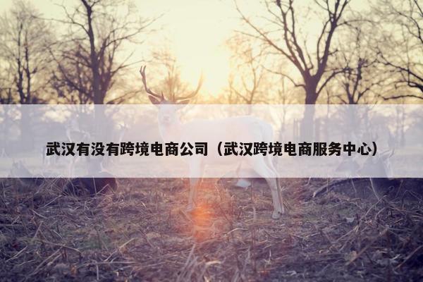 武汉有没有跨境电商公司（武汉跨境电商服务中心）