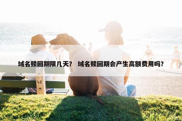 域名赎回期限几天？ 域名赎回期会产生高额费用吗？