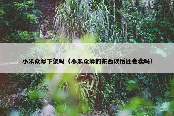 小米众筹下架吗（小米众筹的东西以后还会卖吗）