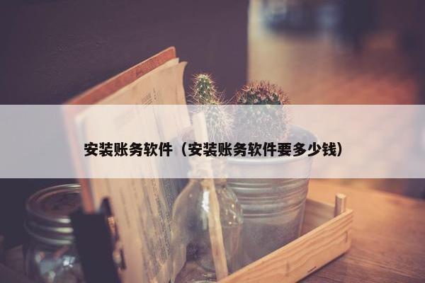 安装账务软件（安装账务软件要多少钱）