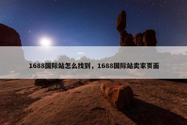 1688国际站怎么找到，1688国际站卖家页面