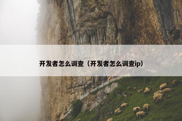 开发者怎么调查（开发者怎么调查ip）