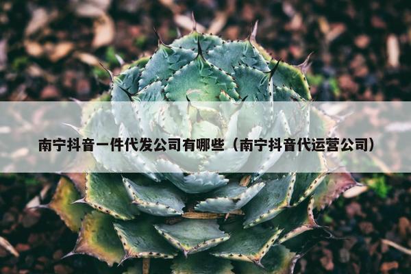 南宁抖音一件代发公司有哪些（南宁抖音代运营公司）