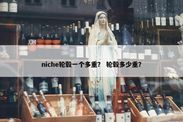 niche轮毂一个多重？ 轮毂多少重？