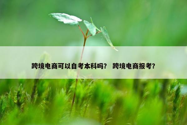 跨境电商可以自考本科吗？ 跨境电商报考？