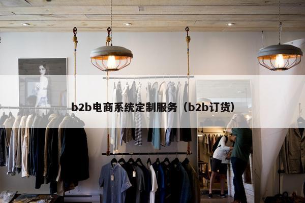 b2b电商系统定制服务（b2b订货）