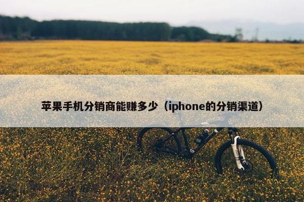 苹果手机分销商能赚多少（iphone的分销渠道）