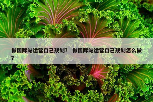 做国际站运营自己规划？ 做国际站运营自己规划怎么做？