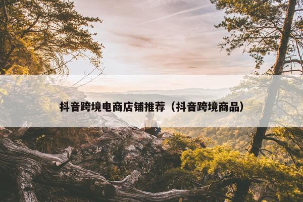 抖音跨境电商店铺推荐（抖音跨境商品）