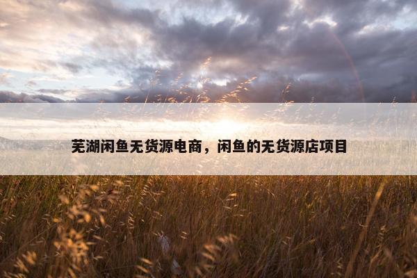 芜湖闲鱼无货源电商，闲鱼的无货源店项目