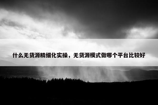 什么无货源精细化实操，无货源模式做哪个平台比较好