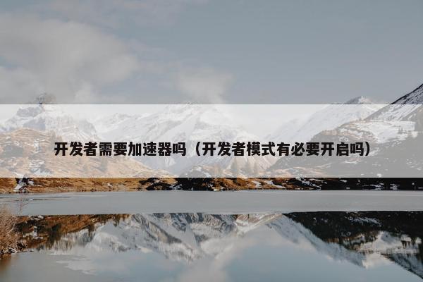 开发者需要加速器吗（开发者模式有必要开启吗）