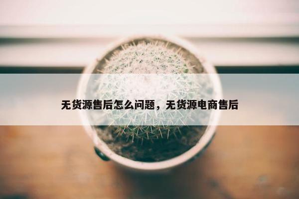 无货源售后怎么问题，无货源电商售后